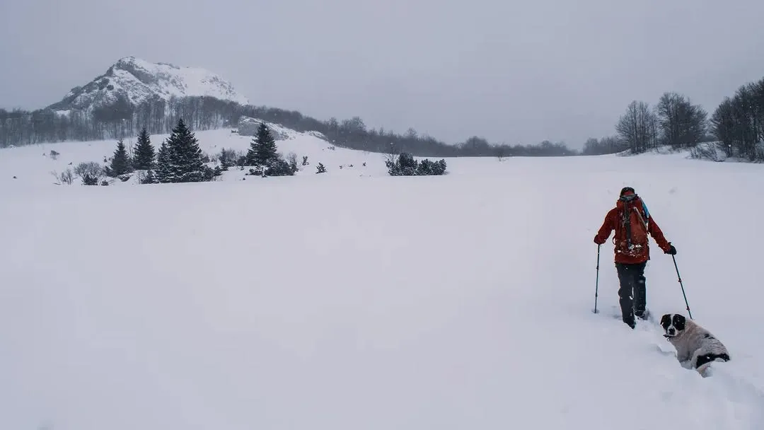 A skier and a dog crossing a snowfield on Treskavica
